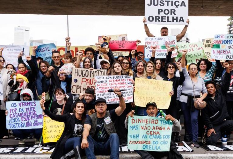 Manifestação na Avenida Paulista reúne centenas de pessoas em defesa dos animais e pede leis severas para maus tratos