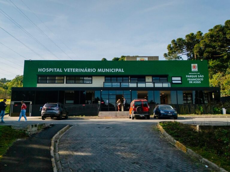 Hospital Veterinário Municipal de Curitiba chega próximo à marca de 60 mil atendimentos.
