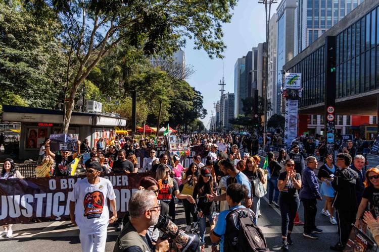 Centenas de pessoas tomam a Avenida Paulista e transformam o caso Orelha em um grito nacional por justiça aos animais